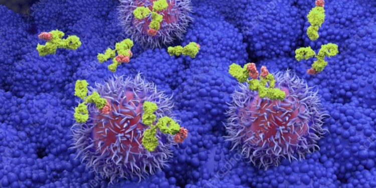 Pancreatic Cancer Antibody Awakens Immune System in Breakthrough Study