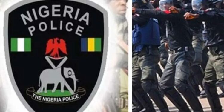 Police Foil Christmas Day Kidnap in Benue, Rescue Victim Unhurt