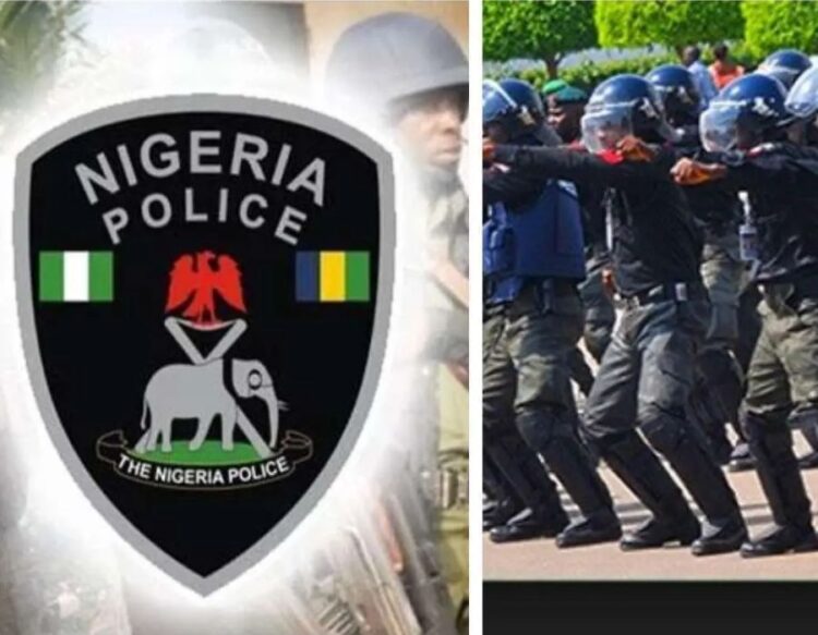 Police Foil Christmas Day Kidnap in Benue, Rescue Victim Unhurt