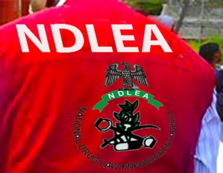 30.1kg Cocaine Seized at Lagos Port in Customs–NDLEA Joint Operation