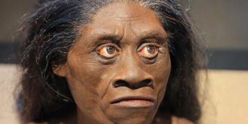 Ancient Drought Wiped Out “Hobbits” of Flores 61,000 Years Ago