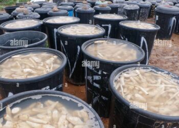The Hidden Dangers of Adding Detergent or Paracetamol to Cassava for Fufu